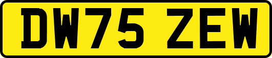 DW75ZEW
