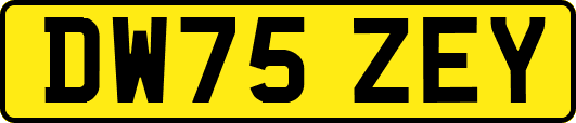 DW75ZEY