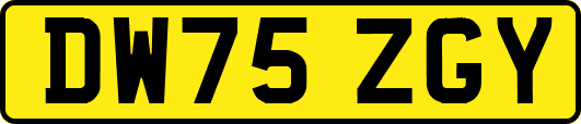 DW75ZGY