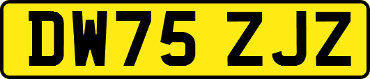 DW75ZJZ