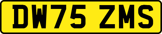 DW75ZMS