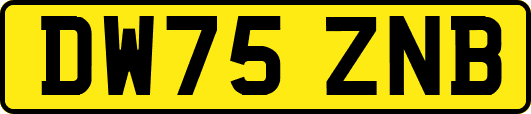 DW75ZNB