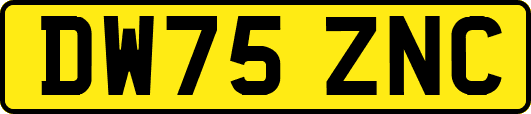 DW75ZNC