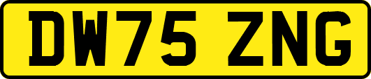 DW75ZNG