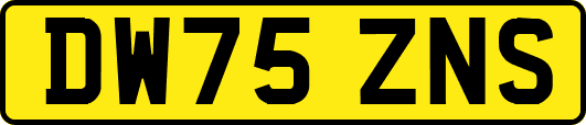 DW75ZNS