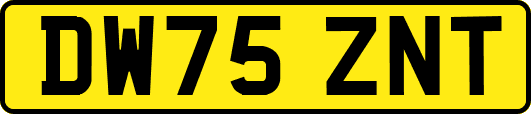 DW75ZNT