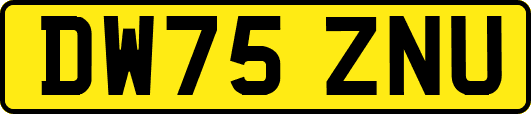 DW75ZNU
