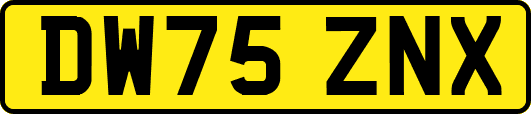 DW75ZNX