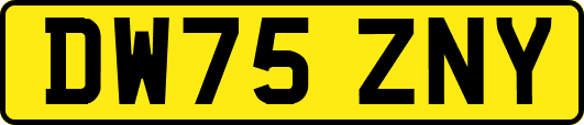 DW75ZNY