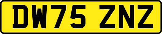 DW75ZNZ