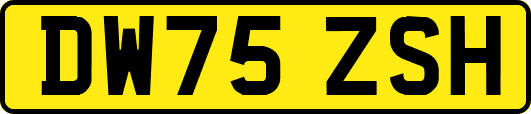 DW75ZSH