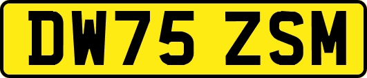 DW75ZSM