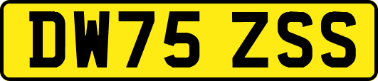 DW75ZSS