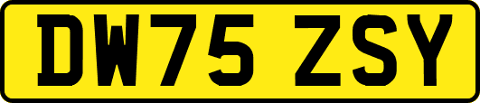DW75ZSY