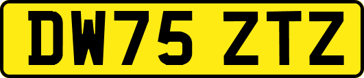 DW75ZTZ