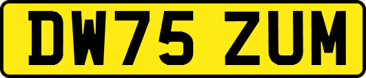 DW75ZUM