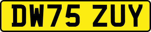 DW75ZUY