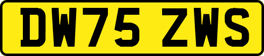 DW75ZWS