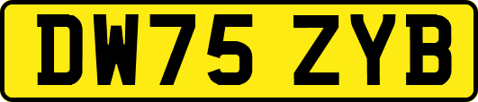 DW75ZYB
