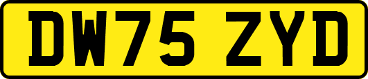 DW75ZYD