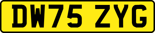DW75ZYG