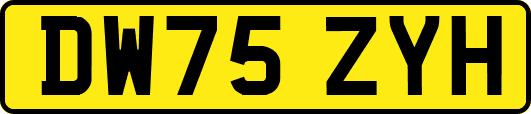 DW75ZYH