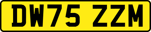 DW75ZZM