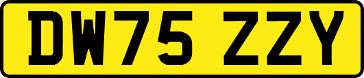 DW75ZZY