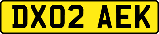 DX02AEK