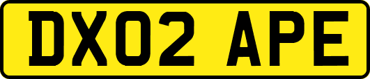 DX02APE