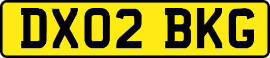 DX02BKG