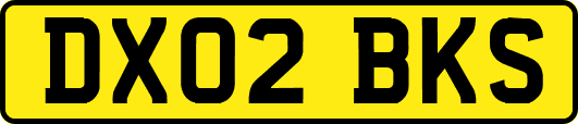 DX02BKS