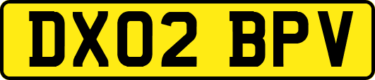 DX02BPV