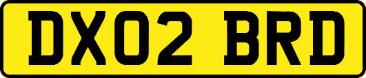 DX02BRD