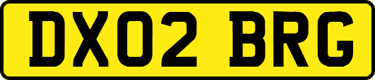 DX02BRG