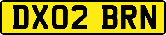 DX02BRN