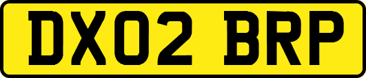 DX02BRP
