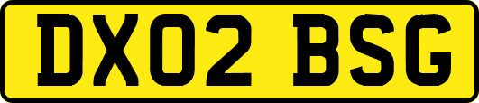DX02BSG