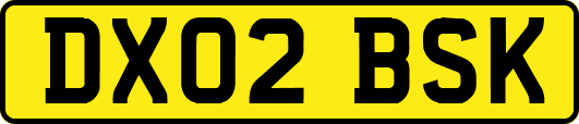 DX02BSK