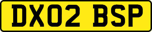 DX02BSP