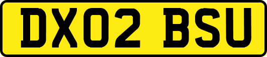 DX02BSU