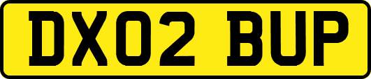 DX02BUP