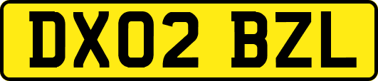 DX02BZL