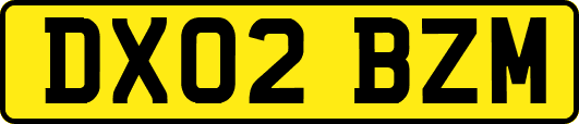 DX02BZM