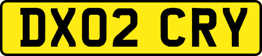 DX02CRY