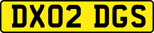DX02DGS