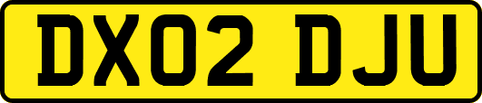 DX02DJU