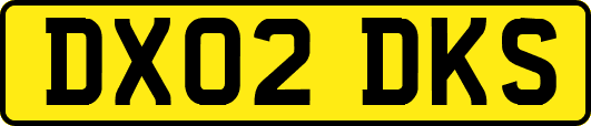 DX02DKS