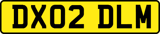 DX02DLM