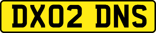 DX02DNS